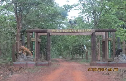 dandeli activities booking