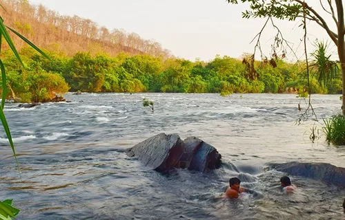 dandeli activities booking