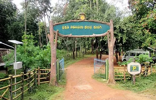 dandeli activities booking