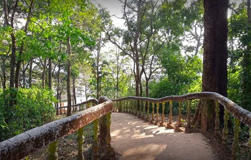 dandeli activities booking